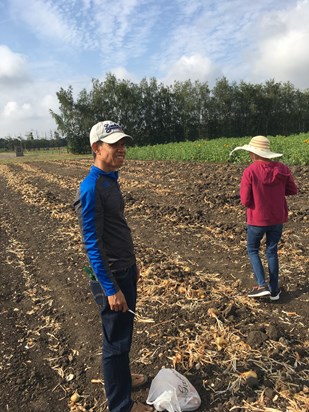 Let’s go digging for vegetables 