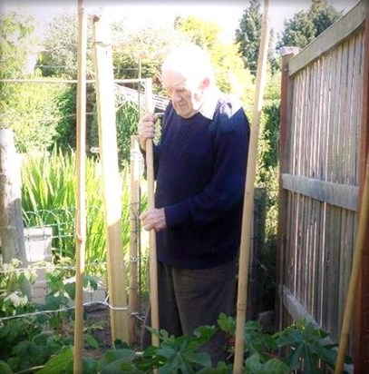 Dad Gardening (2)