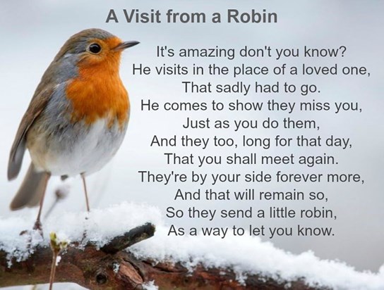 When a robin visits you poem