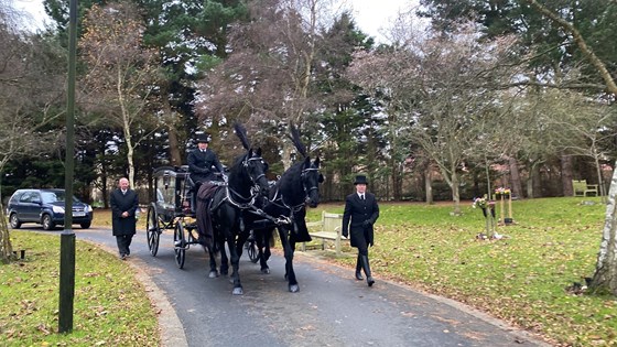 Timing to prefection Layer Marney Horses and Carriages