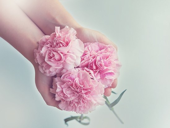 Pink flowers.jpg