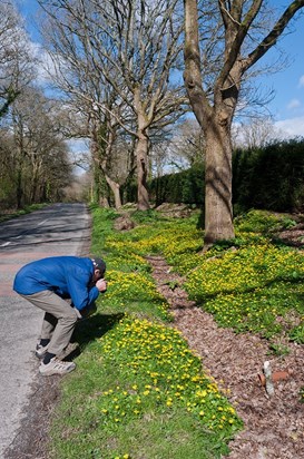 Brian photographing celandine near Staffhurst Wood, 2020