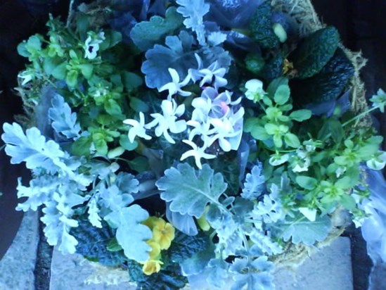 Flower basket in greens, whites & yellows from the family in Ireland