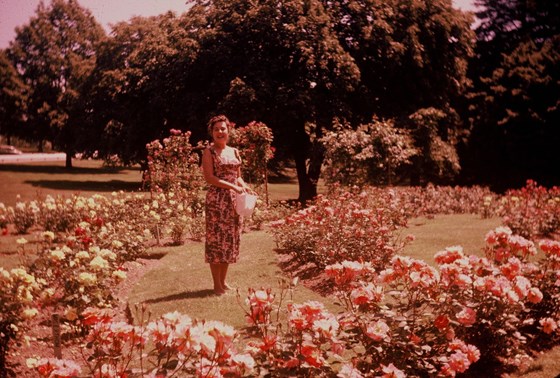 Young Barbara in rose garden