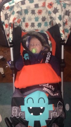 Max in his stroller!