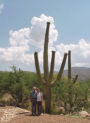 2001 Tucson, Arizona 