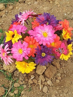 Ashleys flowers rainbow colors