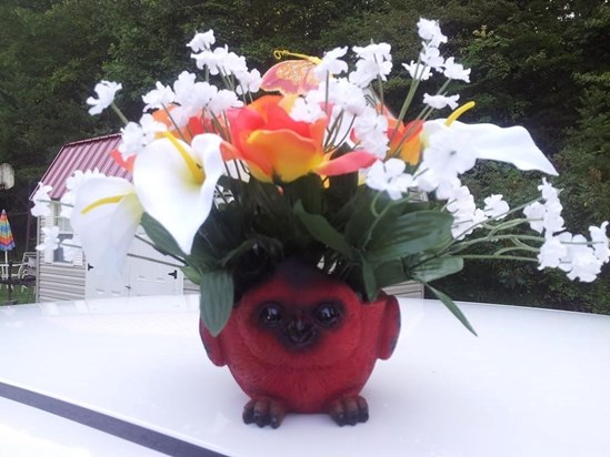 Ashleys flowers with redbird vase