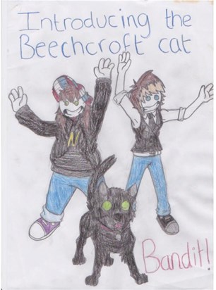 Beechcroft Cat Bandit!