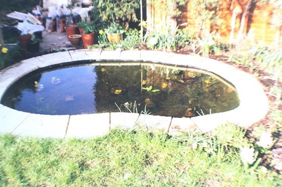 Dawn;s freshly dug and filled pond