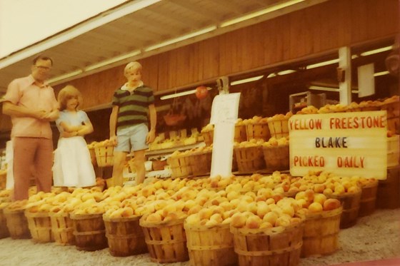 Florida peaches 1981