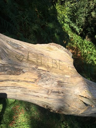 burnbake wasn't the same without you jal, so nice to see your log was in perfect condition but just wish you could've been there to sit on it with us??xx