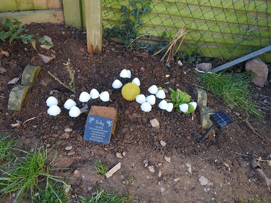 The place in our garden where Rocky is buried.