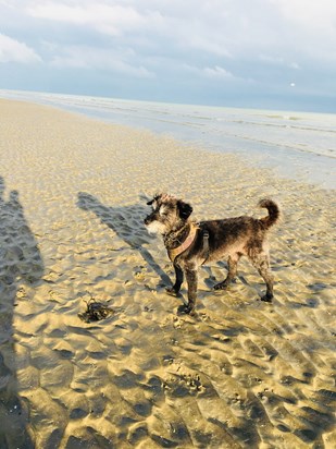 4B3EDF11 3811 4E75 BC17 A8759BAF369A On The Beach 