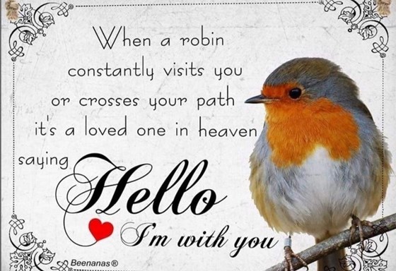 Hello Mrs Robin