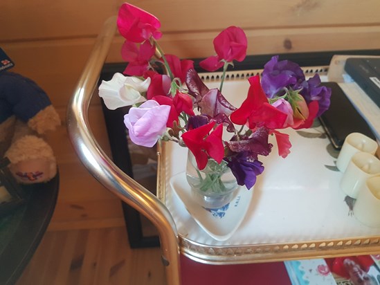 Beautiful Sweet Peas