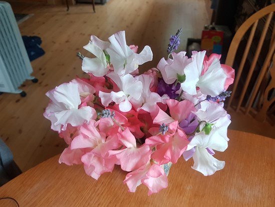 More Sweet  Peas for you Mum, you always loved the fragrance.