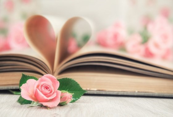 PINK ROSE ON A BOOK