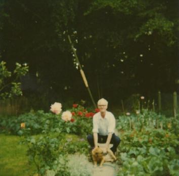 Dad in His Beloved Garden with his Dog Lady. 