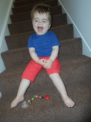 This one of my favourite times with Teddy, he liked bumping down 2 or 3 steps & 'finding' his dummy.