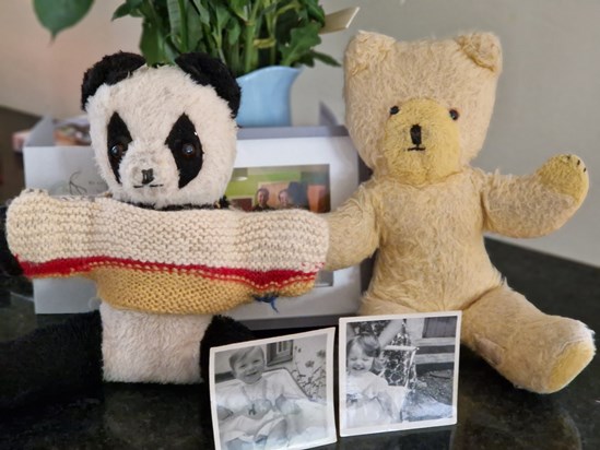 Ken's Panda and Aileen's Teddy together at M.l Williams 
