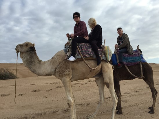 Marrakech camel rides