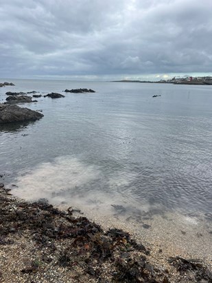 The beach near Belfast where we left Patrick’s ashes on Saturday 26th October 