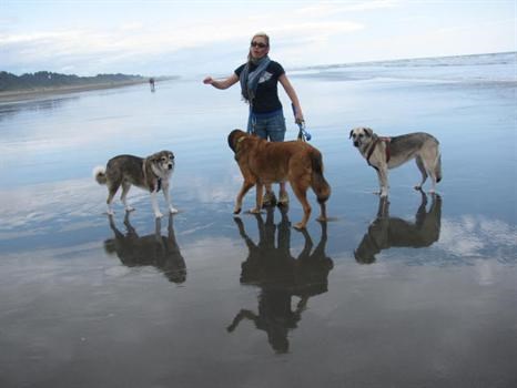 Jess & dogs - pacific ocean