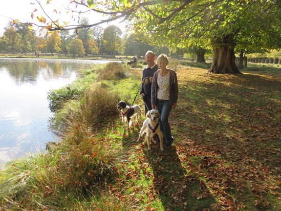 Dunham Massey Autumn walk