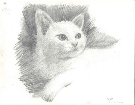 Cat Drawing, December 2001