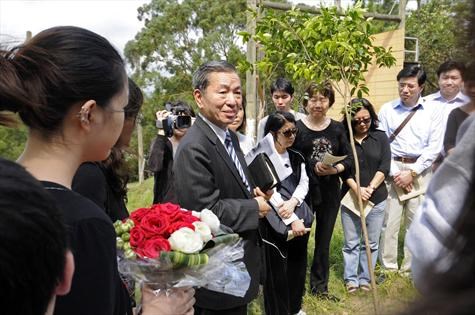 Tree Planting