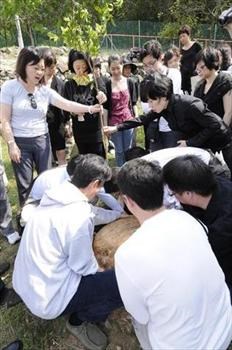 Tree Planting