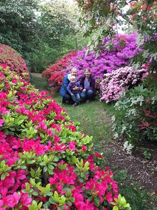 Amazing colours of Furzey Gardens, we had a lovely day