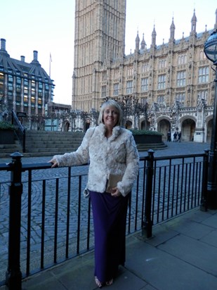 House of Lords 2014