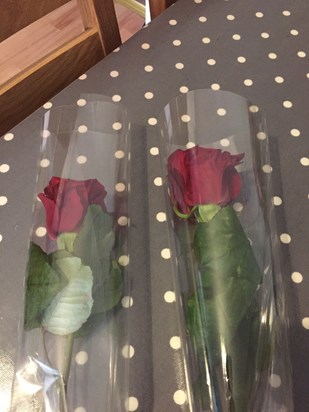 Roses for a Rose ?? 