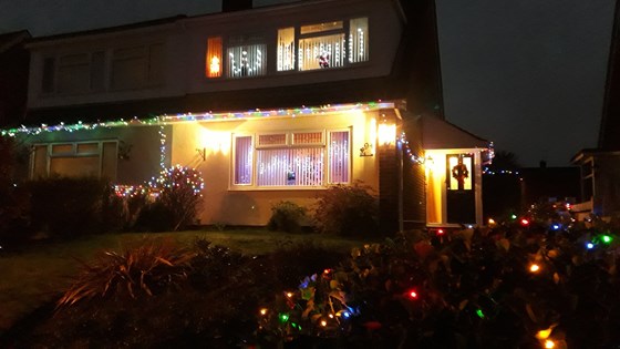 Christmas Lights (1)
