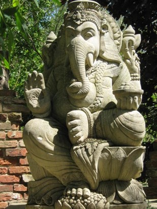 Ganesh at Ty cross Zoo 