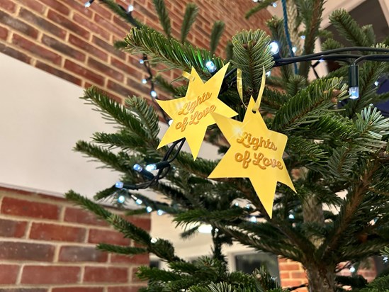 Two of a kind: Pat is honoured by these Lights of Love remembrance stars on one of the hospice's Christmas trees