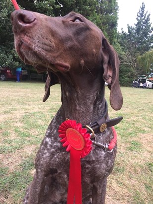 Your gorgeous Fleur coming first in a dog show!! ??