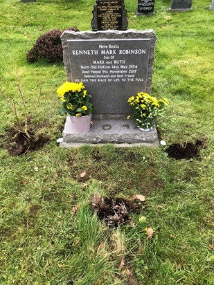 Just planted forsythia and broom alongside the new headstone.