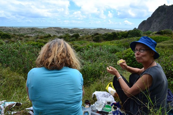 another picnic another possie