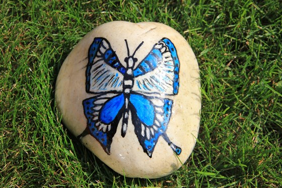 Mum has done you a butterfly stone Jake
