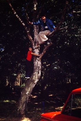 1978 Boys up a tree
