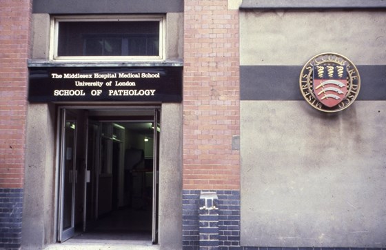 The School of Pathology Middlesex Hospital