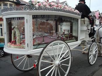 your tiny pink coffin & glass carriage,for a special little princess xx