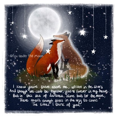 Fox under the moon picture. 