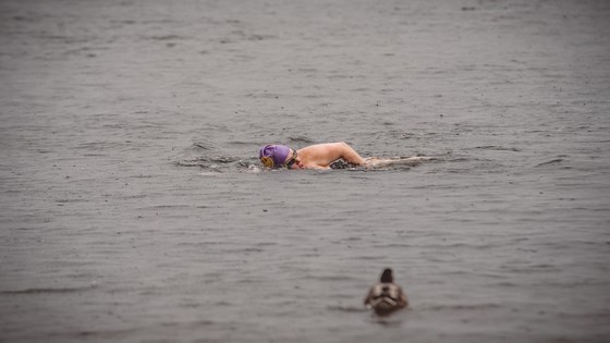 August 19th 2016 Jody coming in to finish her Windermere swim
