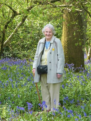 Happy memories of days out and looking for bluebells