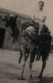 1949 - Dad on Camel - Egypt