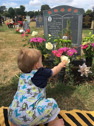 mum your great grandson cassius, this is such a special moment touching your roses , you would adore the boys ,x